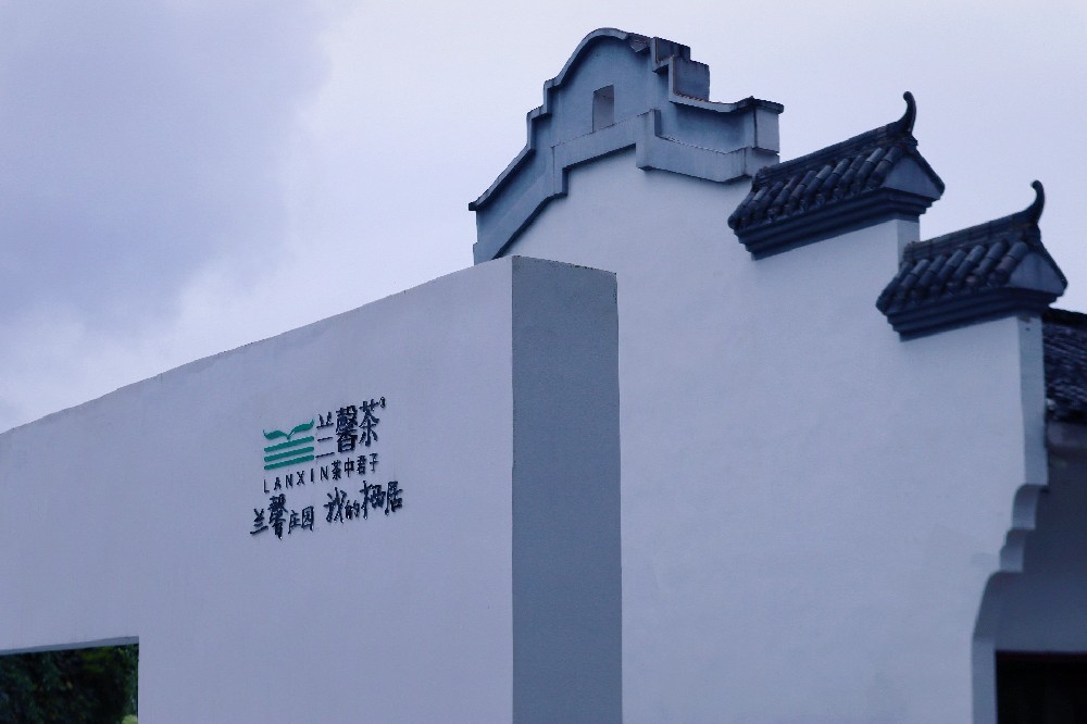 尋味蘭馨莊園：中秋國慶，赴一場茶香深處的田園之約